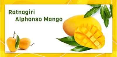 Buy Ratnagiri Alphonso Mango