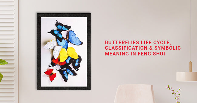 Butterflies Life Cycle, Classification & Symbolic Meaning In Feng Shui