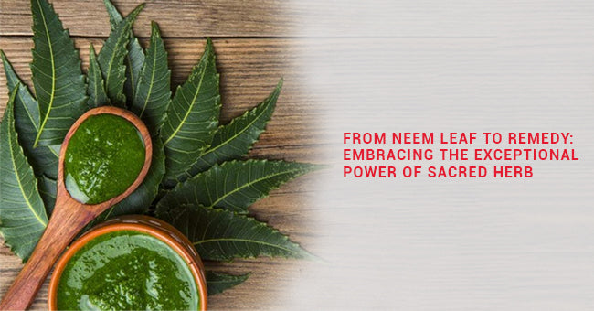 Neem Leaf to Remedy