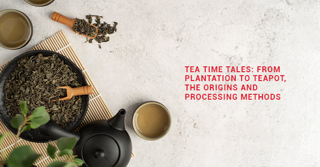 Tea Origins and Processing Methods