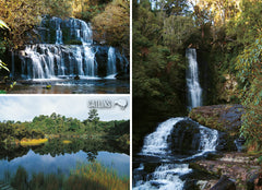 LOT203 - Catlins Multi - Large Postcard - Postcards NZ Ltd