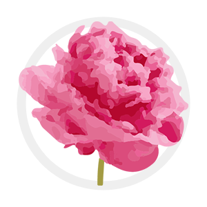 peony