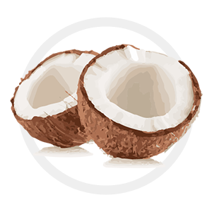 Coconut