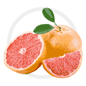 Grapefruit