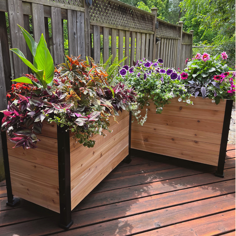 Cedar Planters