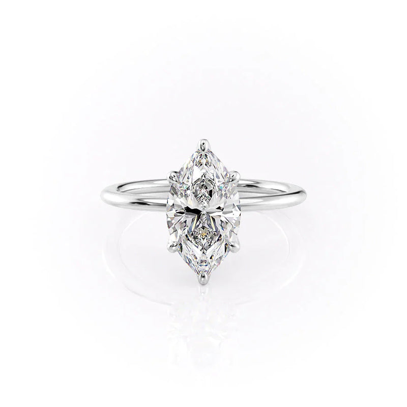 The Petal Kamellie WG MQ