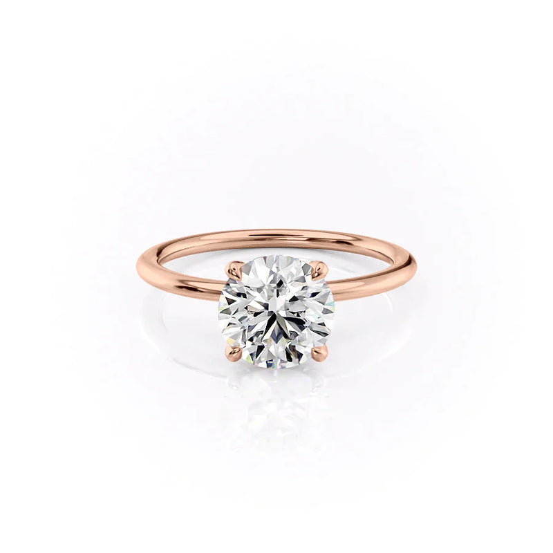 The Petal Kamellie RG R