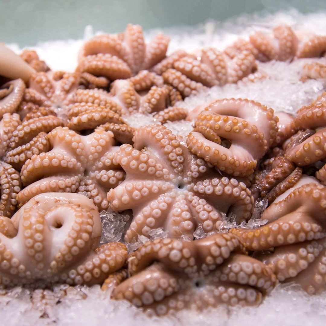 Order Cooked Octopus Online For Sale in New York, USA – Fresh Fin Gourmet