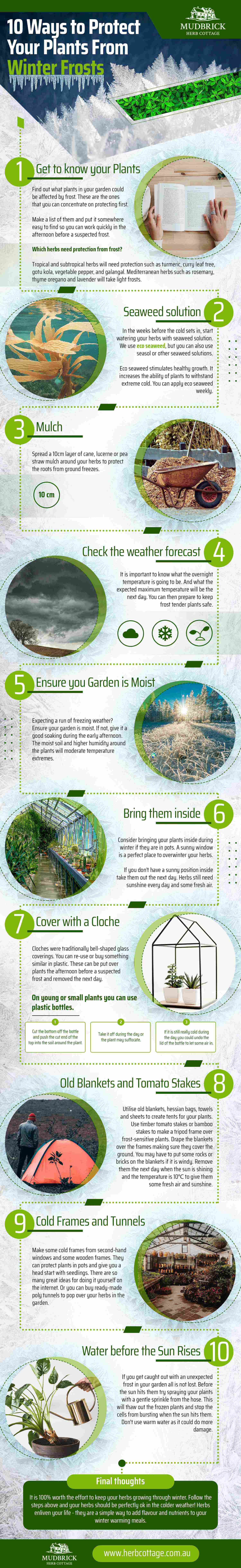 how to protect plants from frost