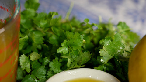 coriander