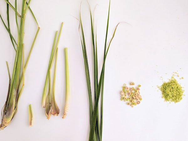 different parts of lemongrass