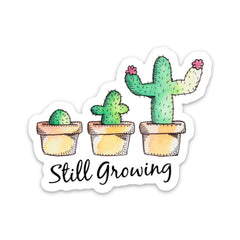 still growing cactus 