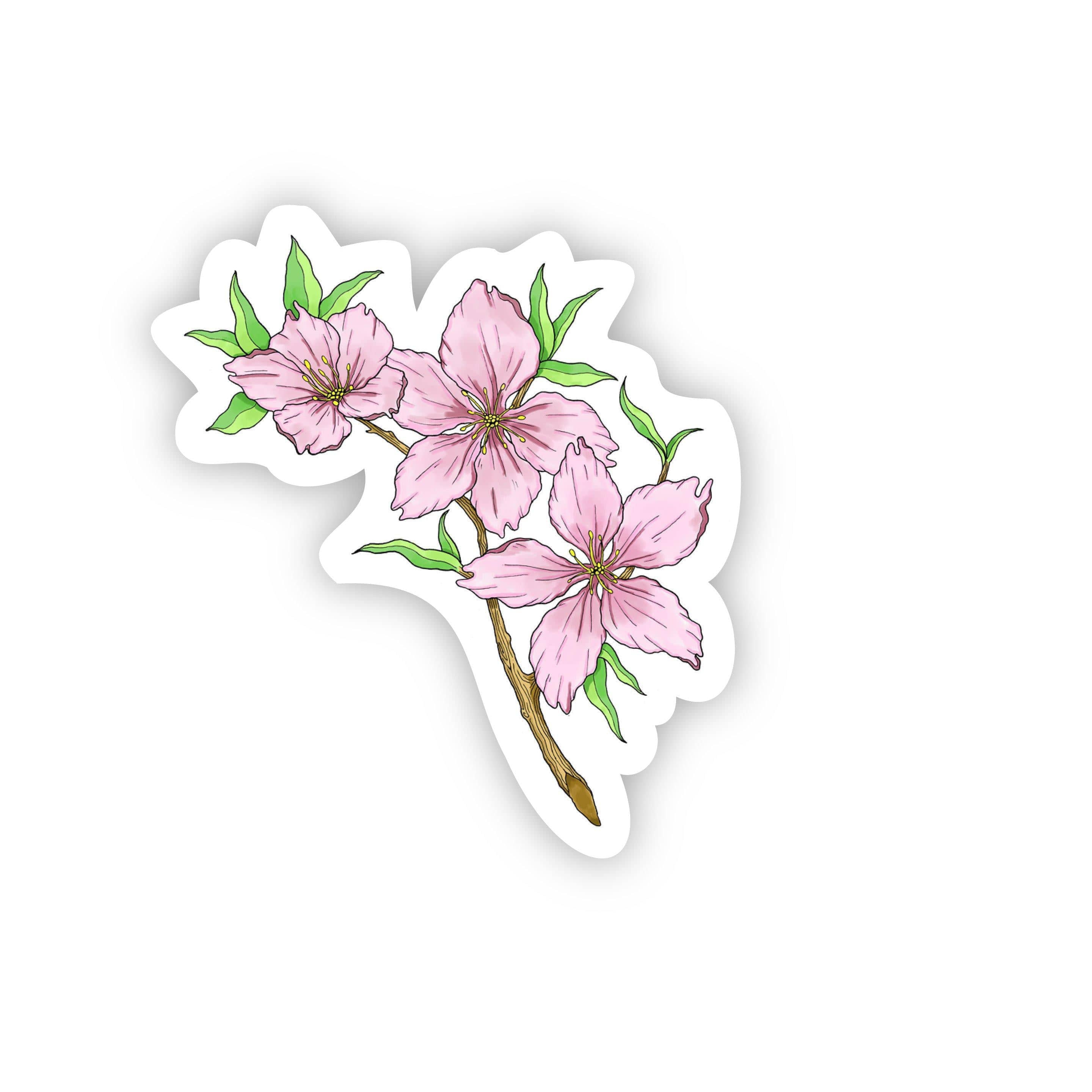 Dream catcher flowering cherry tree sticker – Big Moods