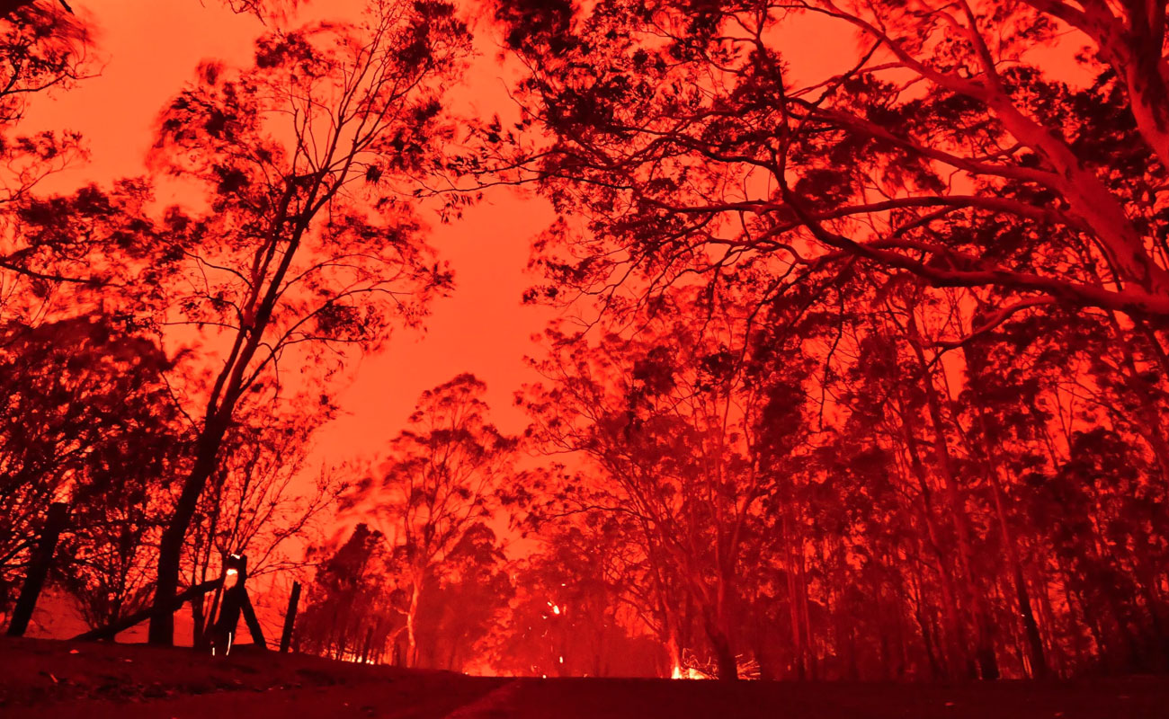 Australian Bush Fires