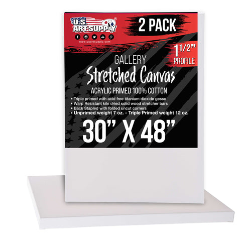 5 x 7 inch Stretched Canvas Super Value 10-Pack - Triple Primed  Professional Artist Quality White Blank 5/8 Profile, 100% Cotton,  Heavy-Weight Gesso