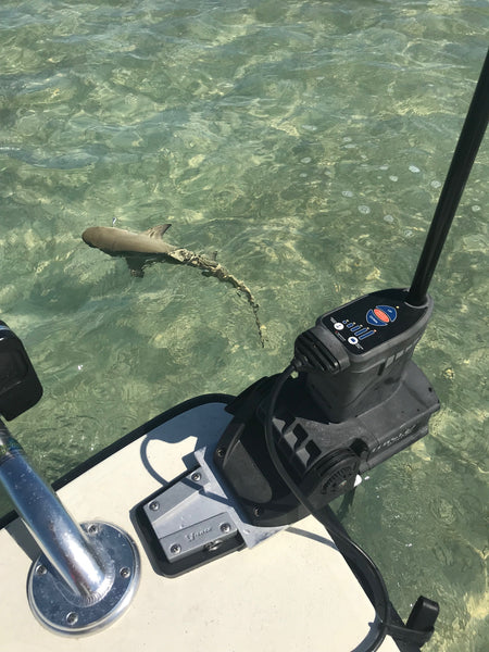 Applications - PowerPole Micro Anchor – V-Lock