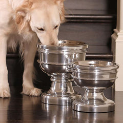 Finley Chalice Raised Dog Bowl