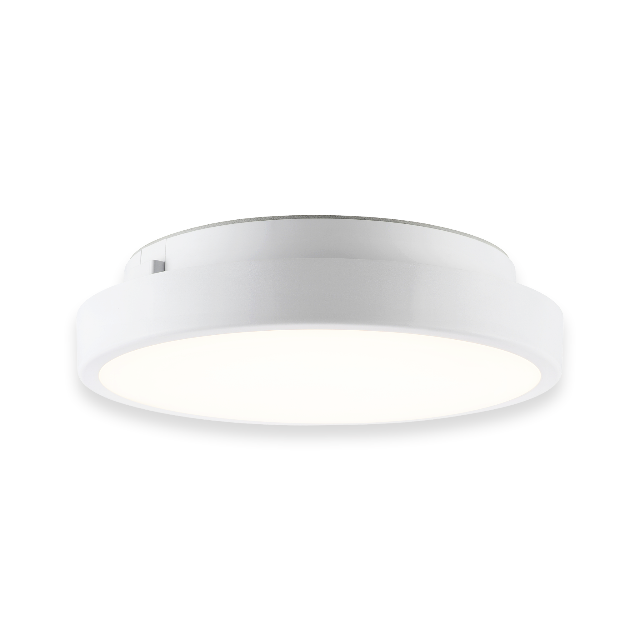 led oyster light