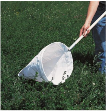 PLSSNET - Hand Sweep Net