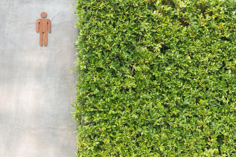 green living walls