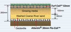 turf cell diagram