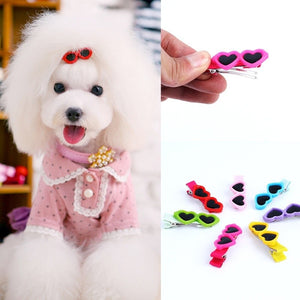 dog hair clips