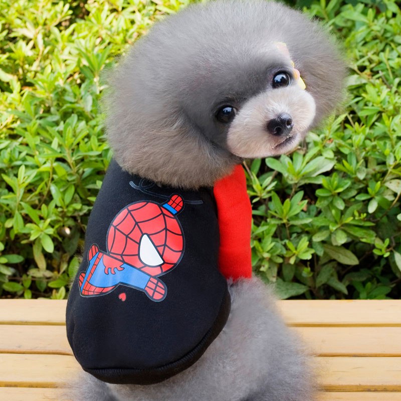 cute puppy clothes