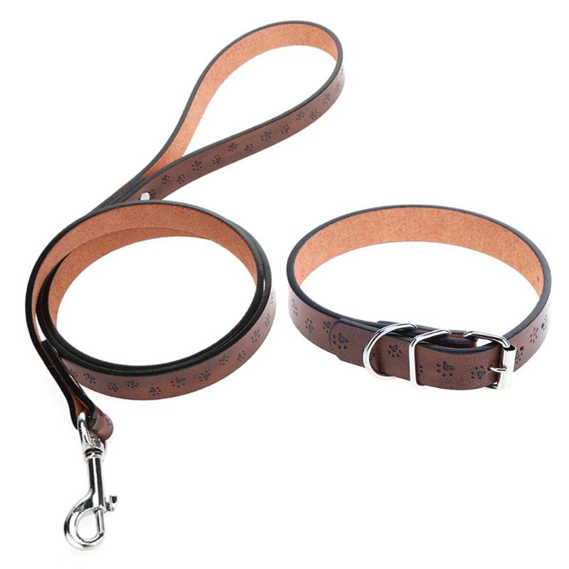 rope dog collar and leash set