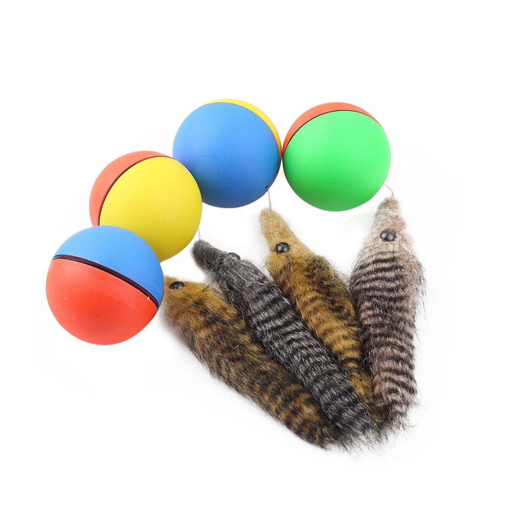 moving ball dog toy