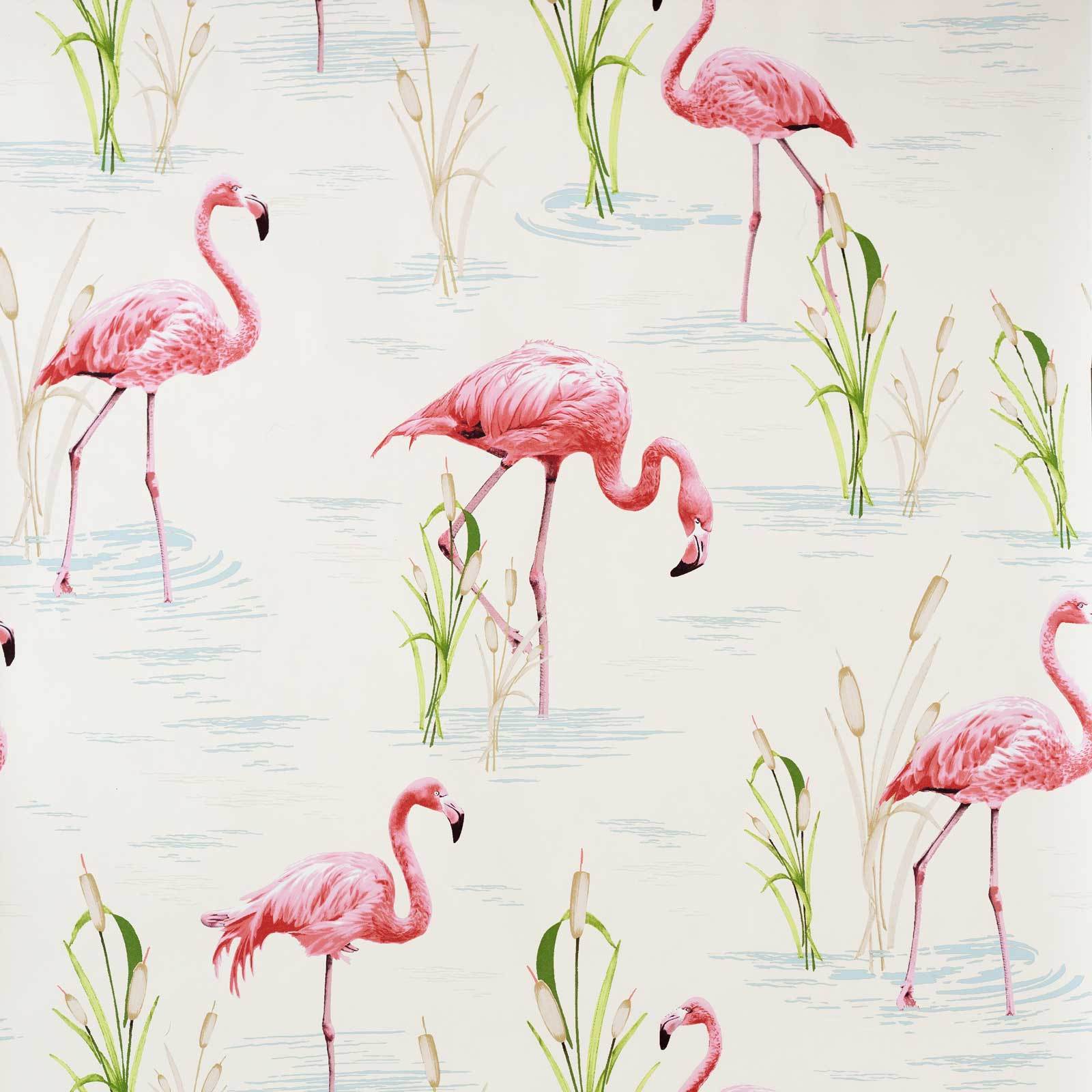  Flamingo  Wallpaper  retro tropical pink  toile Swanky Babs