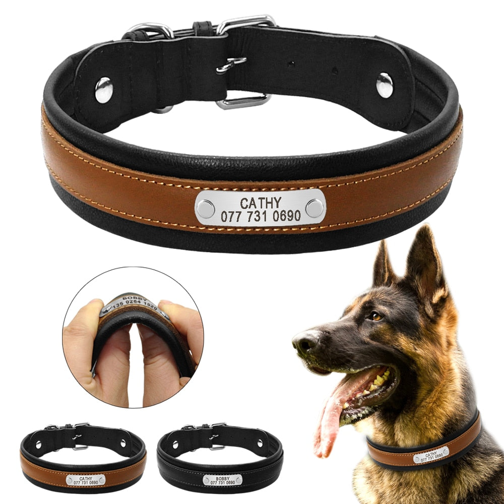 personalized pet collar