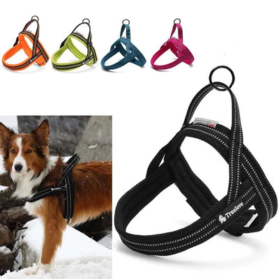 truelove dog harness