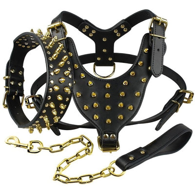 pitbull chain leash