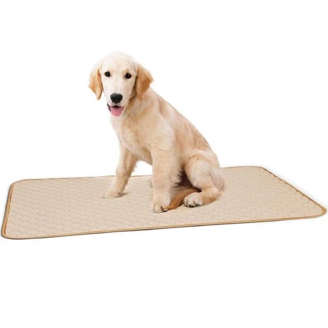 pee pad floor protector