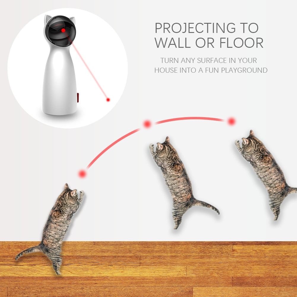 automatic cat laser