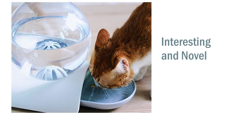 pet comfort bowls for cats