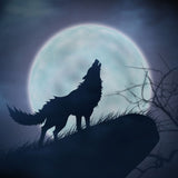 Illumine Wolf Moon Depiction