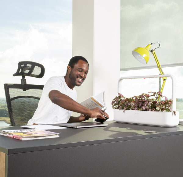 Happy man sitting at an office desk with a Click & Grow Smart Garden 9 on the table.