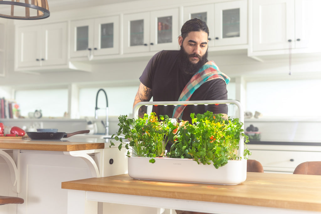 Man tending to herbs growing in a Click and Grow smart garden.