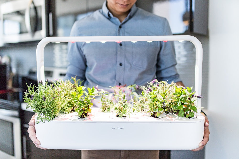 Man holding the Smart Garden 9 and admiring plants growing in it.