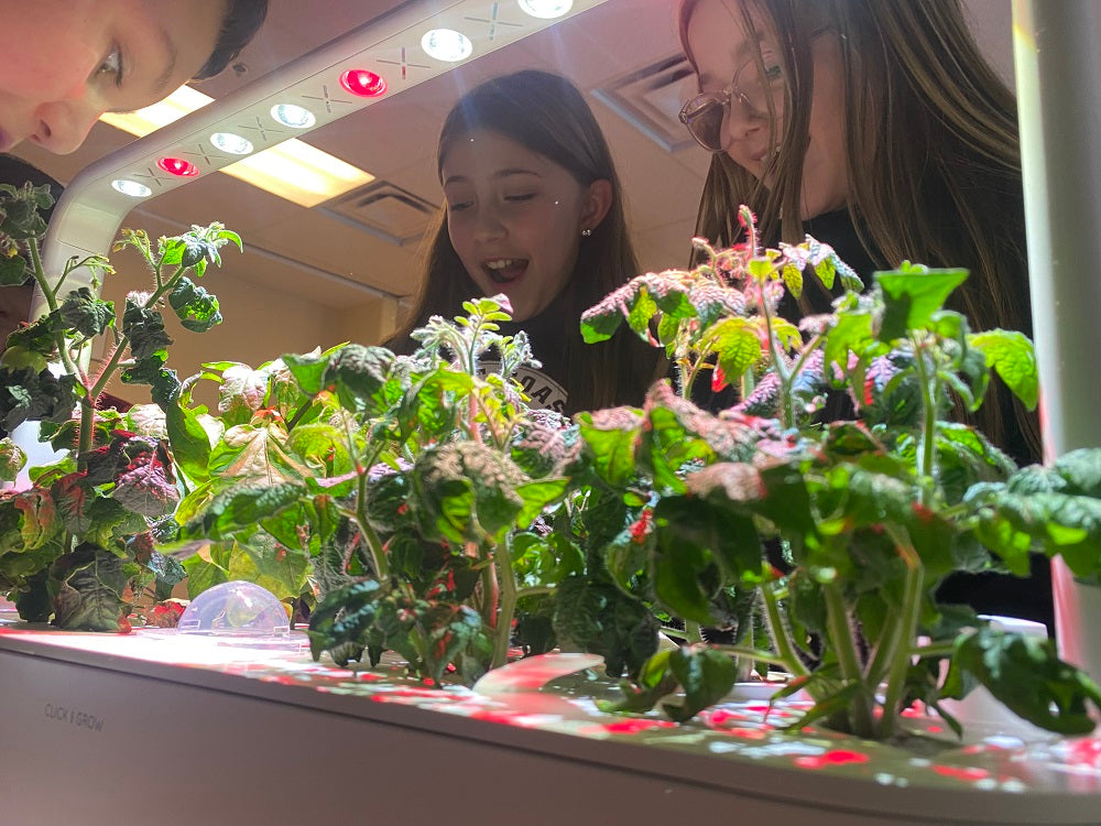 Student observing plants growing in the Click and Grow Smart Garden 9.