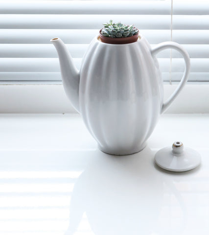 Flowers displayed in a teapot.