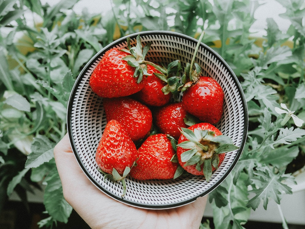 Closeup of freshly picked strawberries held in a bowl.