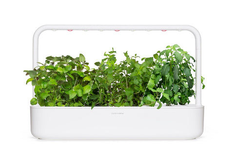 Smart Garden 9 with herbal tea kit plants.
