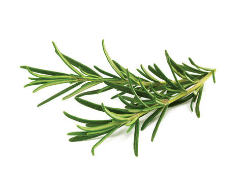 Click & Grow rosemary