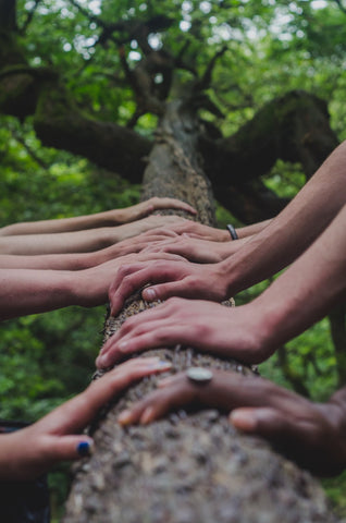 Diverse group of people touching a tree