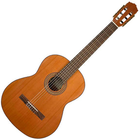 artist classical guitar