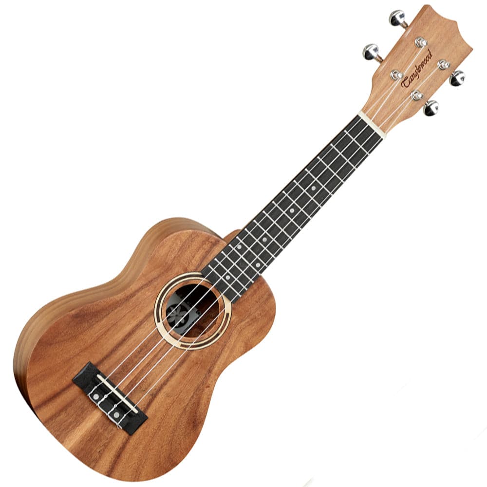 220 Ukulele ideas  ukulele, ukulele songs, ukulele music