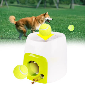 automatic tennis ball launcher for dogs