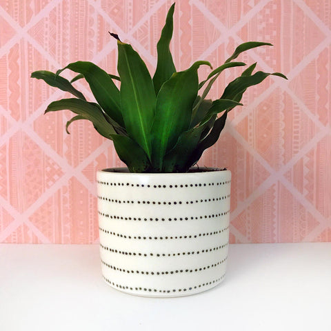 Dotted Stripe Clay Pot by ERINMCDesign